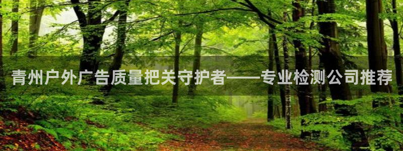 杏宇平台总代理电话