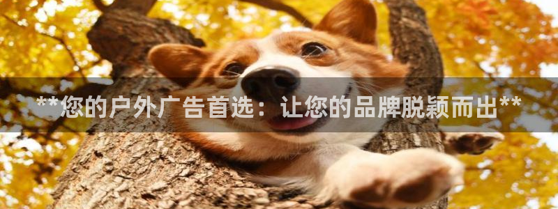 杏宇平台好吗