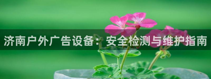 杏宇平台总代理