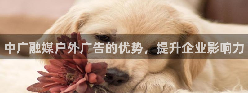 杏宇平台代理多少钱一次