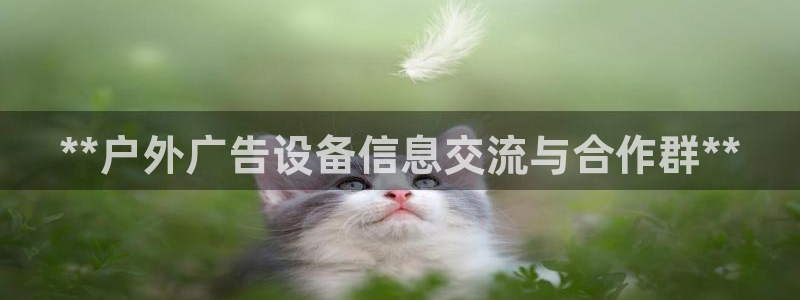 杏宇平台代理怎么赚钱的