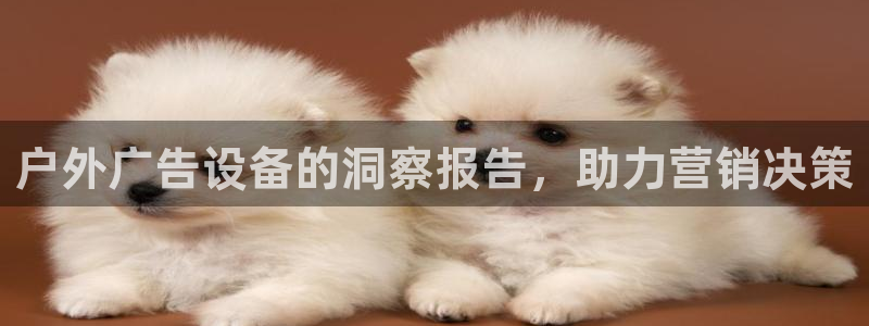 杏宇平台开户