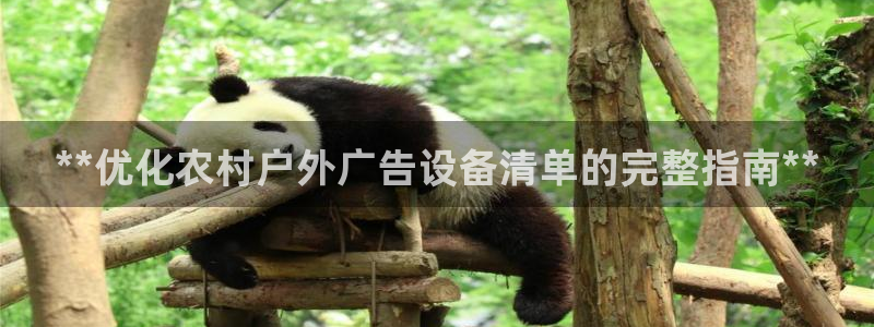 杏宇平台注册地址在哪里：**优化农村户外广告设备清单的完整指南**