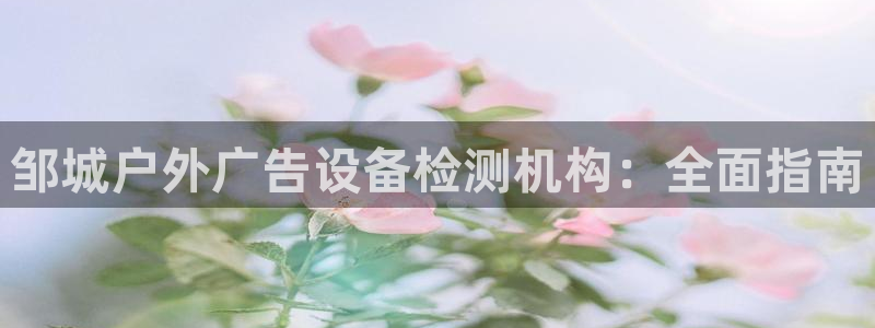 杏宇平台代理怎么样啊：邹城户外广告设备检测机构：全面指南