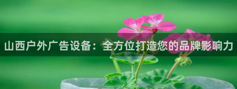 杏宇官方平台官网