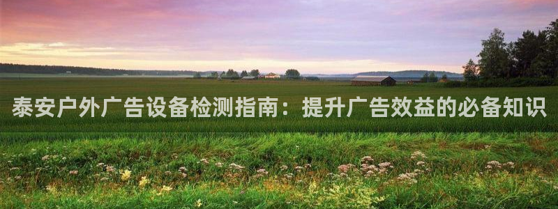 杏宇平台代理多少钱一个月：泰安户外广告设备检测指南：提升广告效益的必备知识