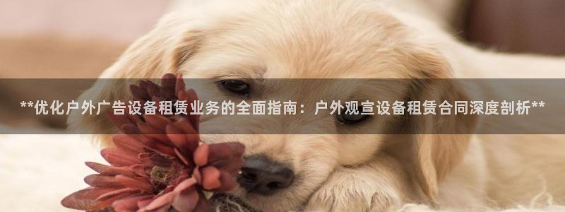 杏宇平台客服：**优化户外广告设备租赁业务的全面指南：户外观宣设备租赁合同深度剖析**