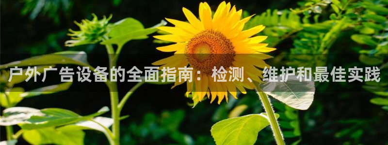 杏宇平台代理怎么样赚钱：户外广告设备的全面指南：检测、维护和最佳实践