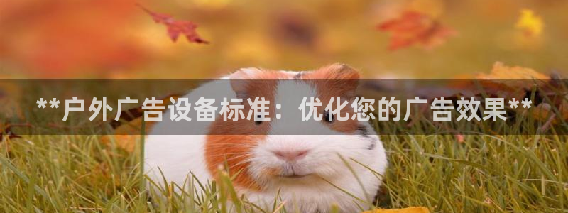 杏宇平台代理怎么赚钱：**户外广告设备标准：优化您的广告效果**