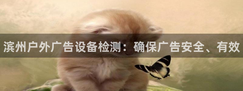 杏宇官方平台官网入口：滨州户外广告设备检测：确保广告安全、有效