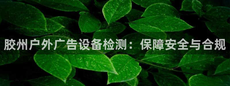 杏宇官方平台官网下载