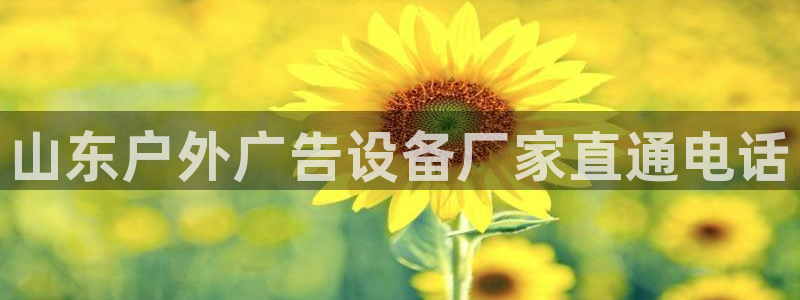 杏宇平台主管