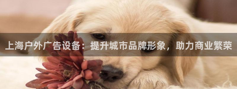 杏宇平台怎么样赚钱