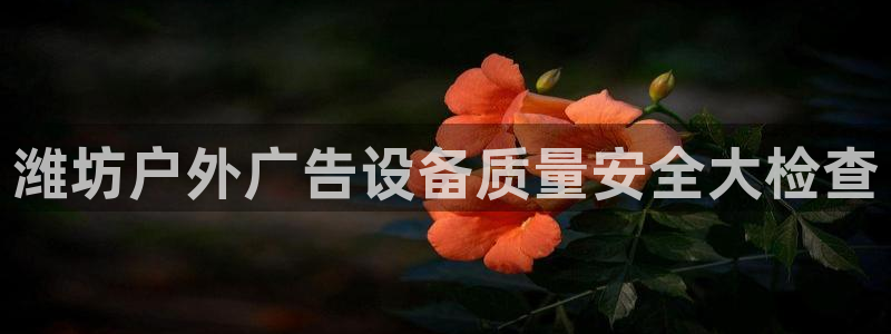 杏宇平台怎么样