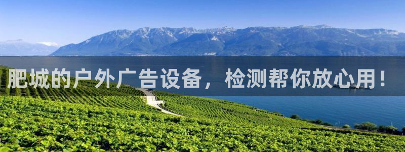 杏宇平台代理怎么赚钱的