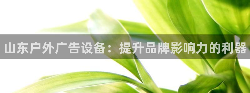 杏宇平台怎么样赚钱