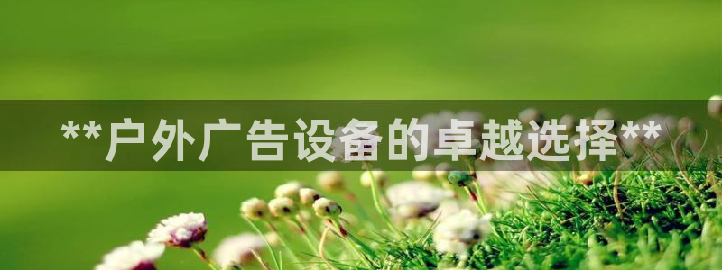 杏宇官方平台官网