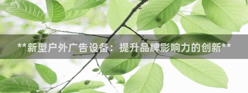 杏宇平台总代理电话