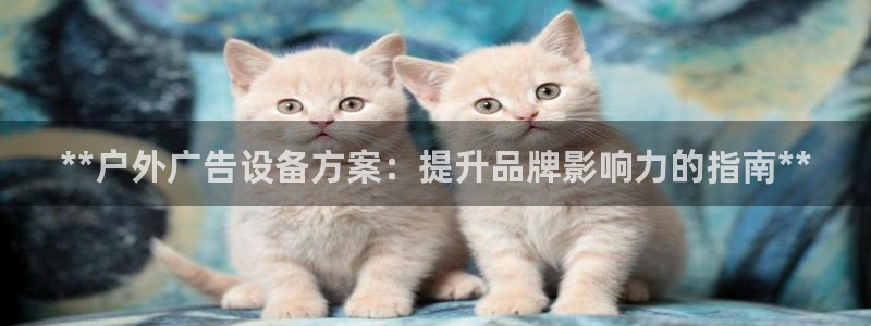杏宇平台代理