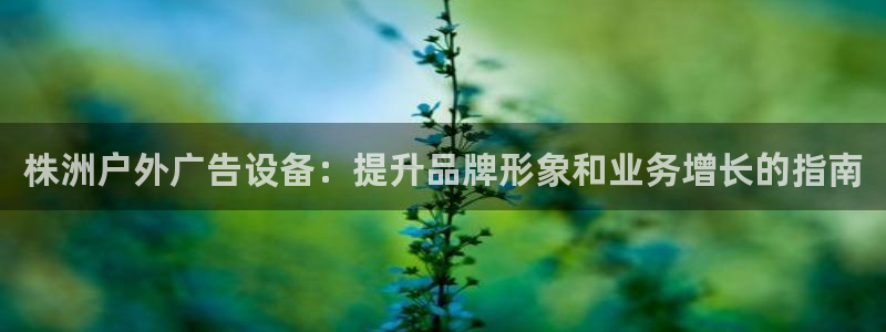 杏宇官方平台官网下载：株洲户外广告设备：提升品牌形象和业务增长的指南