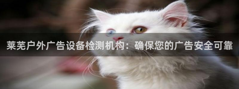 杏宇平台代理多少钱