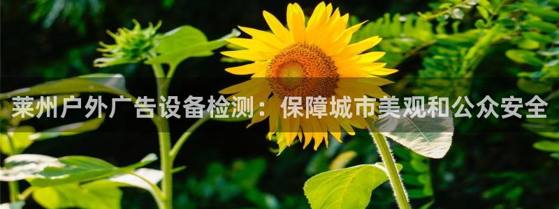 杏宇平台总代理