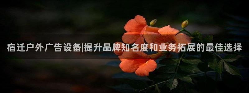 杏宇平台总代理电话