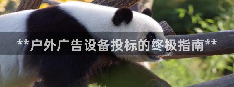 杏宇平台登录步骤是什么