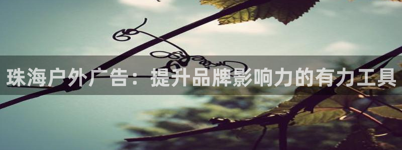 杏宇平台代理怎么样可靠吗