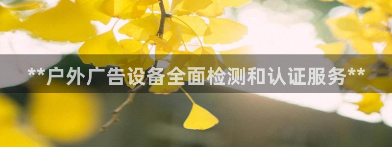 杏宇平台招商