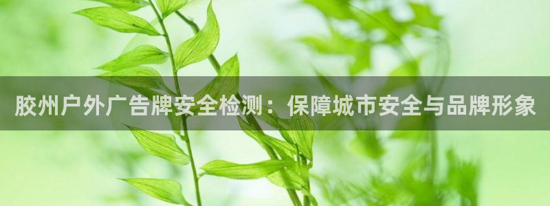 杏宇平台怎么样赚钱