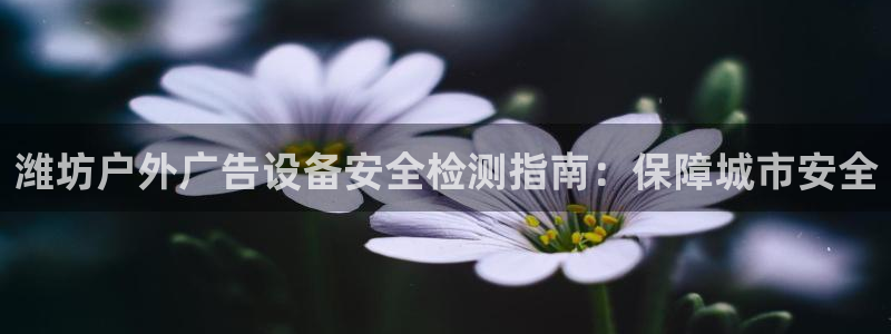 杏宇平台怎么样
