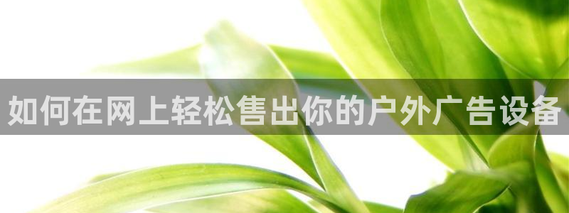 杏宇平台代理怎么赚钱的