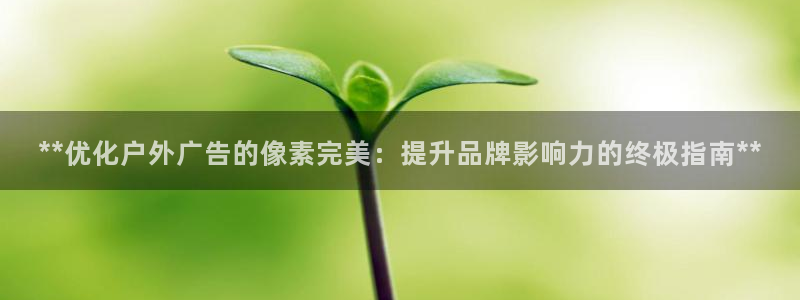 杏宇平台测速链接