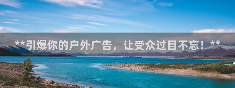 杏宇代理注册