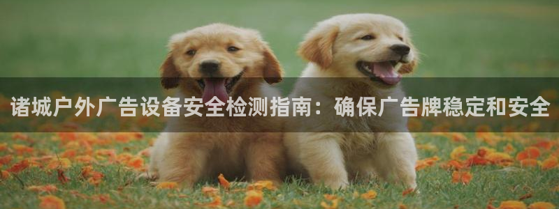 杏宇平台总代理：诸城户外广告设备安全检测指南：确保广告牌稳定和安全