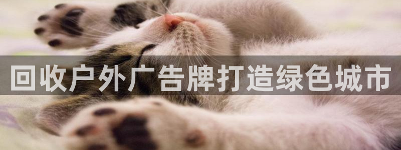 杏宇平台注册地址在哪里