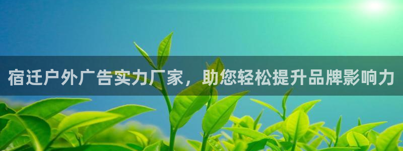 杏宇平台代理怎么赚钱快