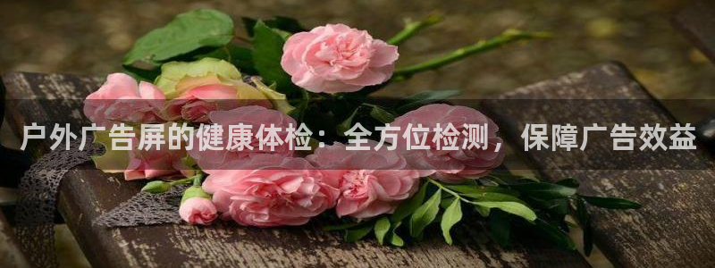 杏宇平台代理怎么赚钱的