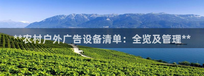 杏宇平台代理
