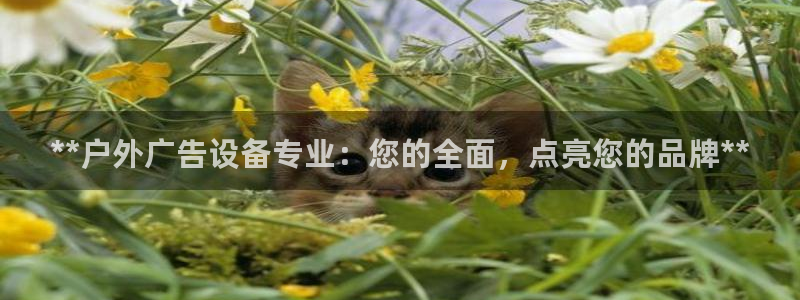 杏宇平台注册地址：**户外广告设备专业：您的全面，点亮您的品牌**