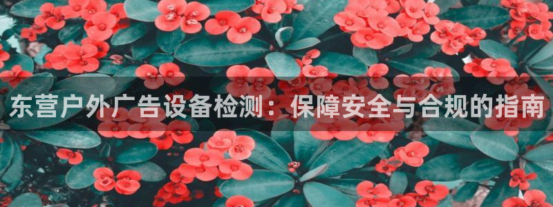 杏宇平台注册地址在哪里：东营户外广告设备检测：保障安全与合规的指南