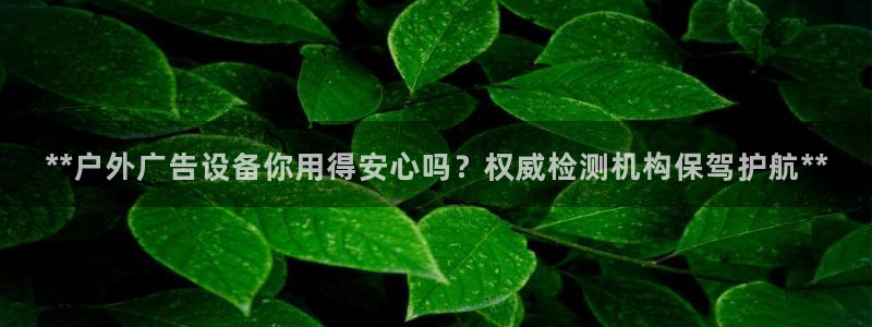 杏宇平台总代理