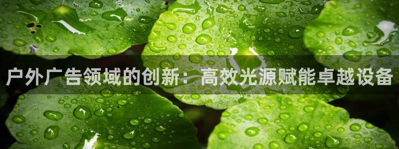 杏宇官方平台官网下载