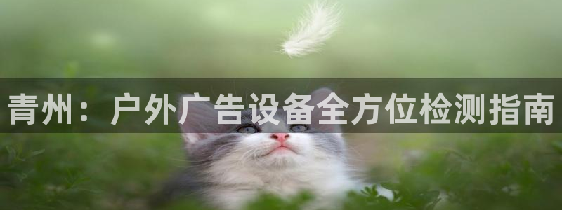 杏宇平台代理怎么样可靠吗