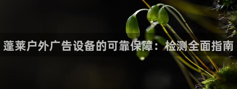 杏宇平台测速链接