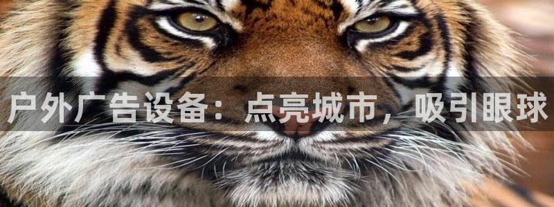 杏宇平台怎么样