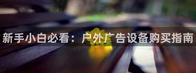 杏宇平台总代理