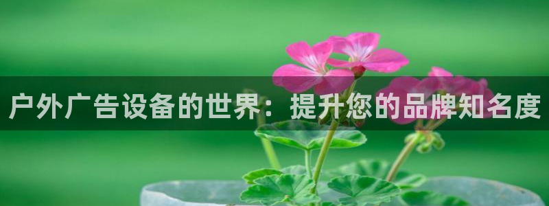 杏宇平台代理多少钱