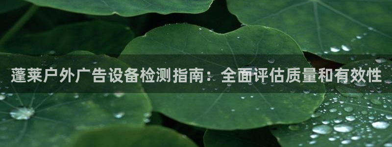 杏宇官方平台官网下载：蓬莱户外广告设备检测指南：全面评估质量和有效性